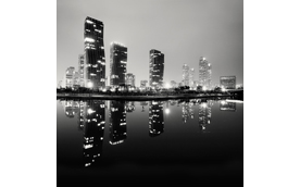 Songdo IBD, Study 1, Incheon, South Korea, 2011