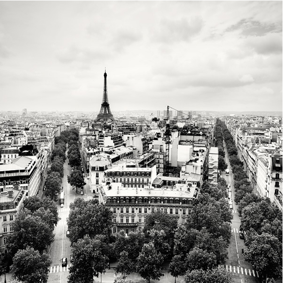 Eiffel Tower, Study 2, Paris, France, 2010